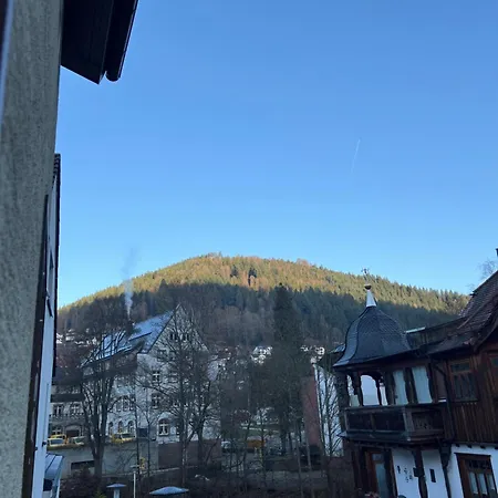 Apartment Marin Appartement *